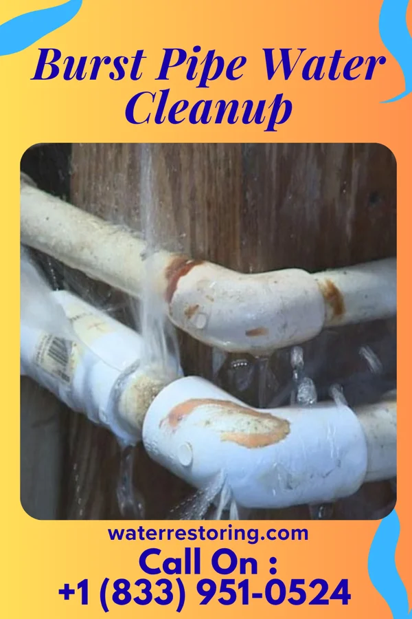 Burst Pipe Water Cleanup in Milan, NM
