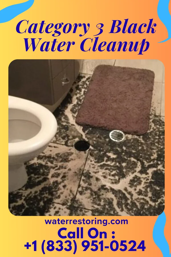 Category 3 Black Water Cleanup in Milan, NM