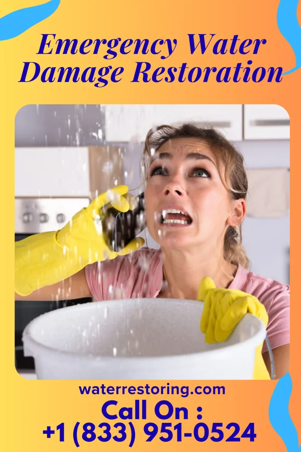 Emergency Water Damage Restoration in Milan, NM