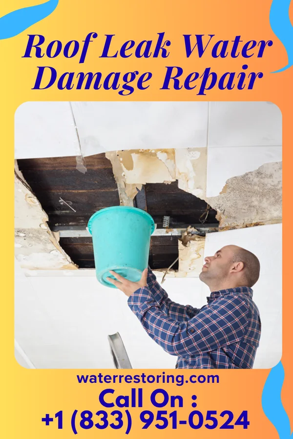 Roof Leak Water Damage Repair in Milan, NM