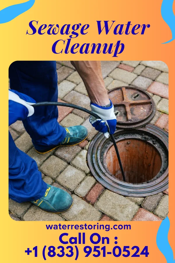 Sewage Water Cleanup in Milan, NM